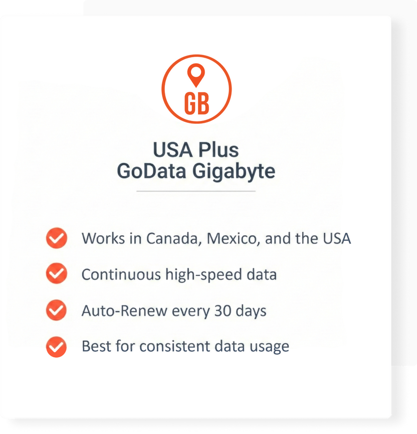 USA Plus GoData Gigabyte